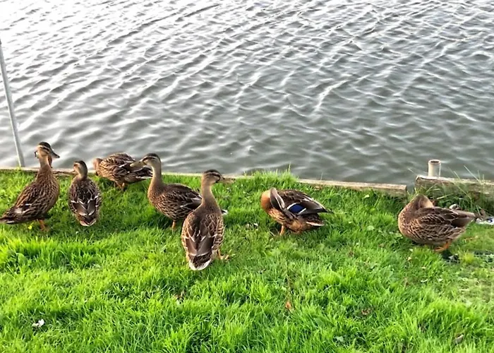 Tunstall View Caravan Holidays At Sand Le Mere