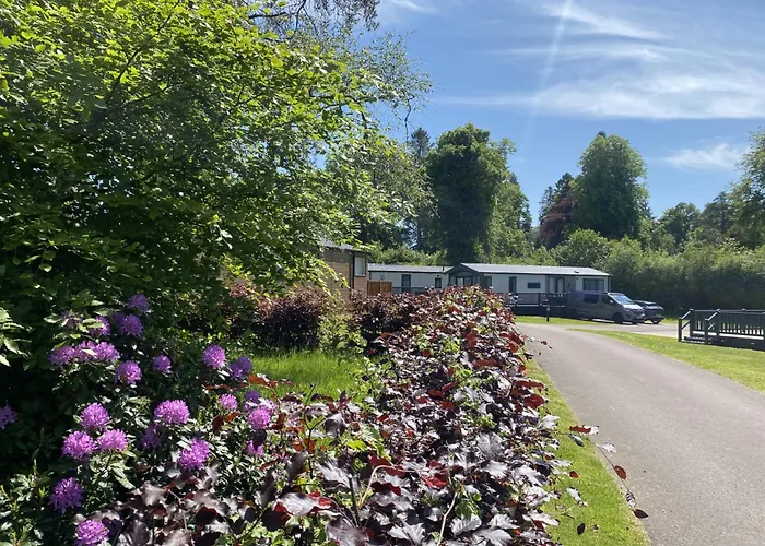 Callander Woods Holiday Park